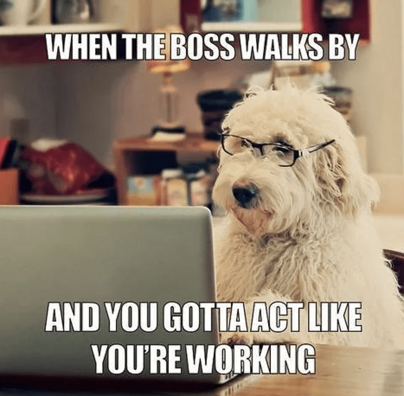 glasses-boss-walks-by-and-gotta-act-like-working-wres