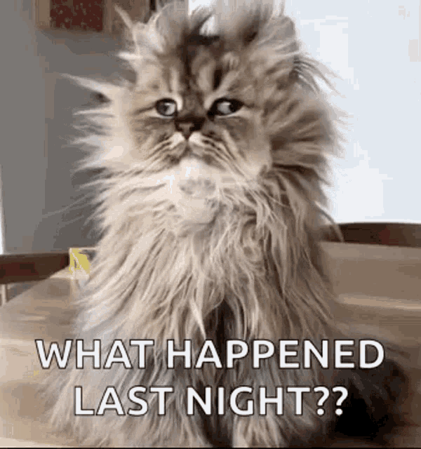good-morning-funny-animals