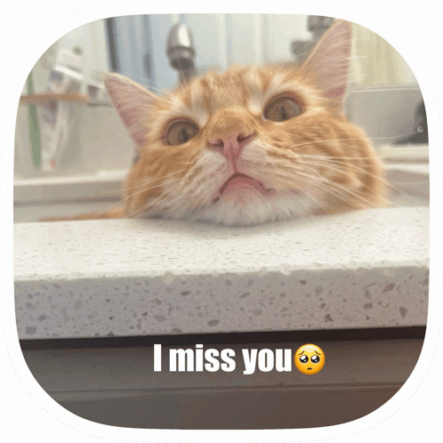 i-miss-you-i-love-you