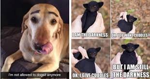 images 1 Funny Wednesday Memes