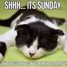 Sunday Morning Memes
