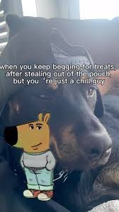 images 14