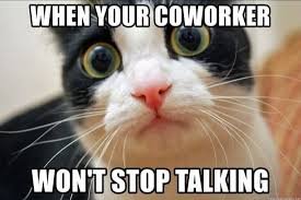 images 14 funny wednesday memes