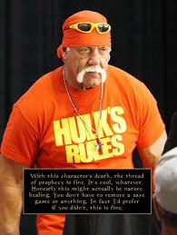 images 2 hulk hogan memes