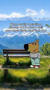 images Chill Guy Memes