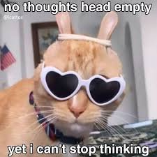 images 4