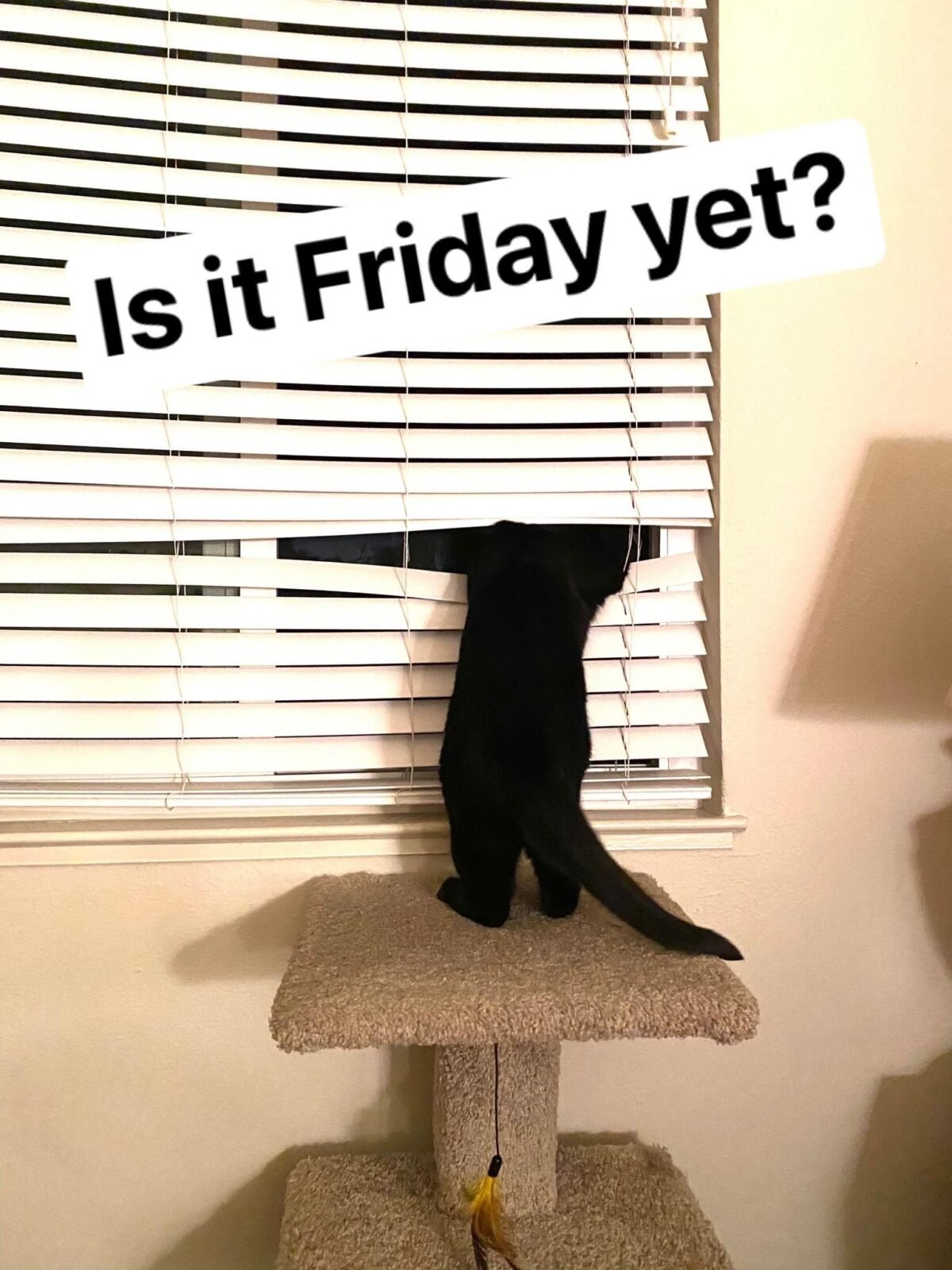 85 Friday Work Memes That Hit Way Too Close to Home