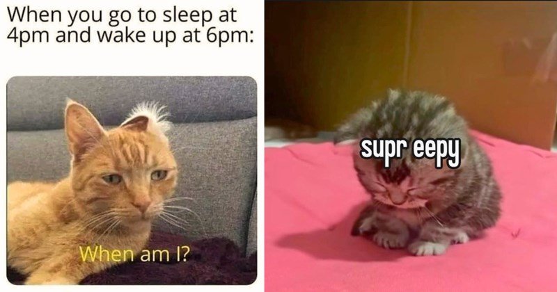 including-when-you-go-to-sleep-at-4pm-and-wake-up-at-6pm-when-am-i-and-one-meme-including-supr-eepy