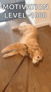 lazy-drag