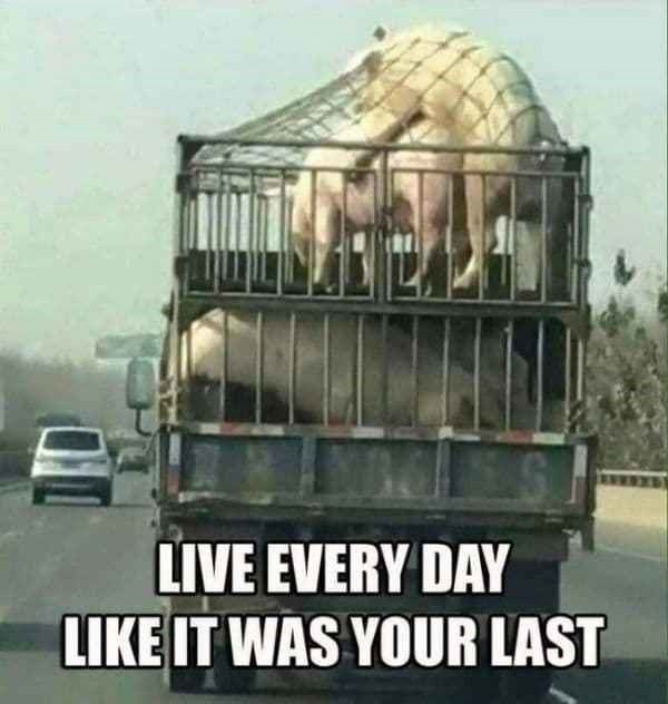 mode-of-transport-live-every-day-like-it-was-your-last