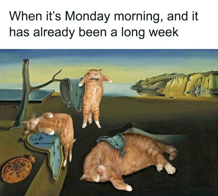 monday-memes-15-64be288c4171a__700