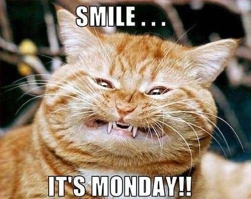 070f55b406b24c2e436a9a4d284c6d20 Happy Monday Memes