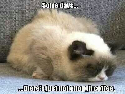 0b7023ecdd7dc59a2cf76519620325e8 Monday Work Memes