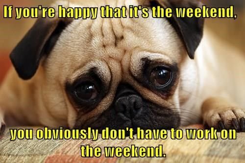 0d5782f0bd8d49a68f03f5a9e227013a Happy Monday Memes