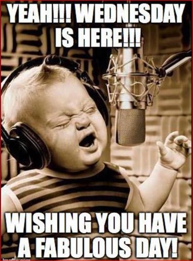 Good Morning Wednesday Memes