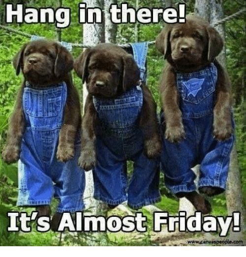 103d3c80228ea6a51f433aee233fdaef Thursday Morning Memes