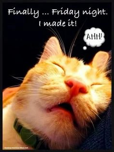 1593ca38f3b92bc94d369ad52185c5cb friday eve memes