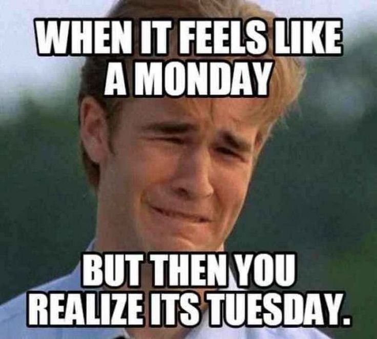 32139a59f41faa4091572baf7053d1ab Tuesday Morning Memes