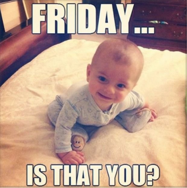 484dbcb6ca23ea1d915d5821e9fb8f45 friday morning memes