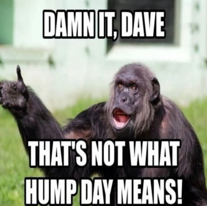 Wednesday Morning Memes