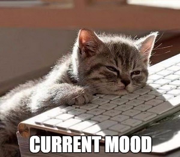 65ddd4b8881cd50c9e0af5b12eebb4e5 Monday Work Memes