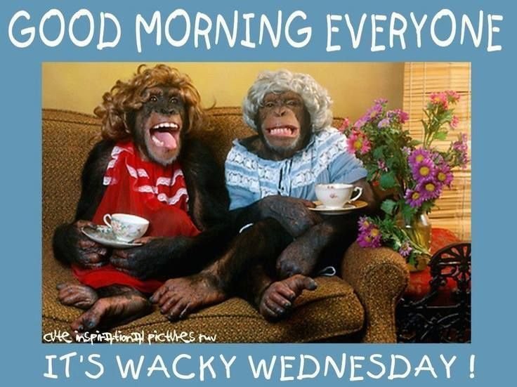 8 Good Morning Wednesday Memes