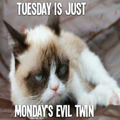 9719972414_0b68abb92e_w Funny Tuesday Memes