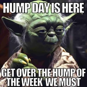40 Hump Day Memes That Perfectly Capture Your Wednesday Struggles