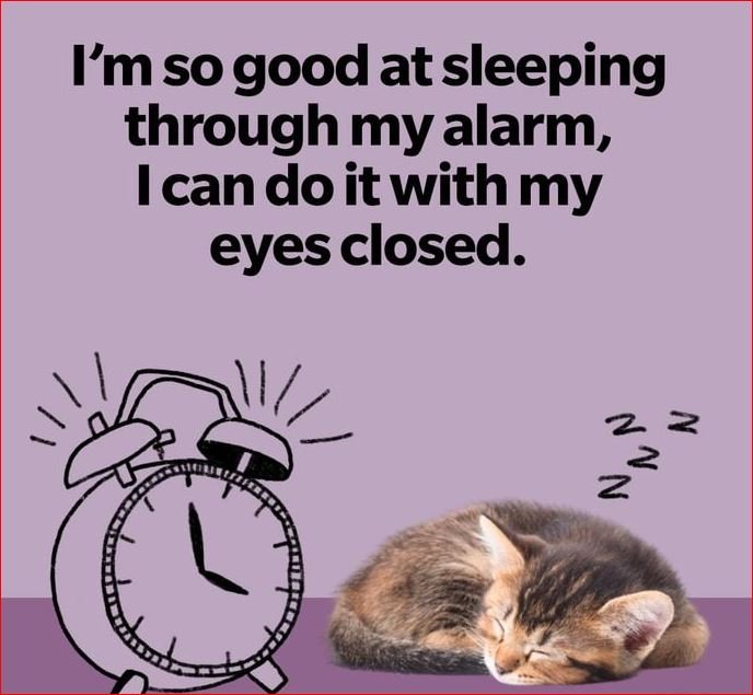 funny monday memes 