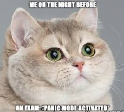 Funny Weekend Memes