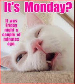 Happy Monday Memes