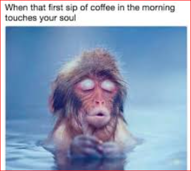 funny sunday memes