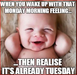 Tuesday Morning Memes