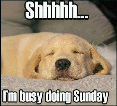 Happy Sunday Memes