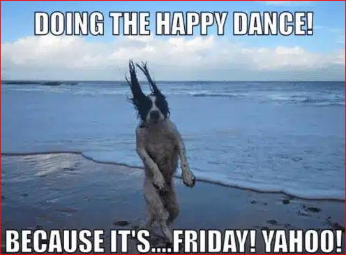 friday morning memes