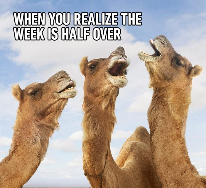 Wednesday Morning Memes