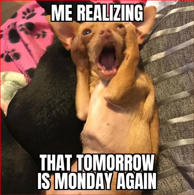 Monday Work Memes
