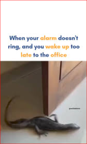 Monday Memes