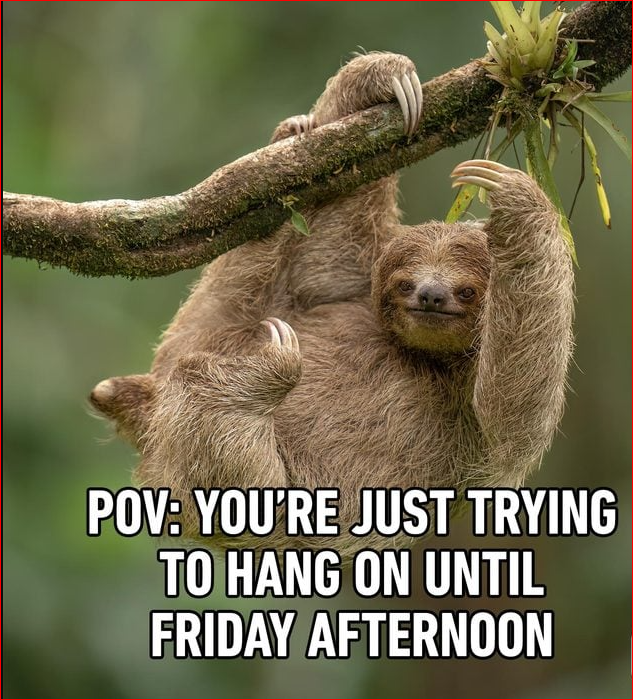 Monday Work Memes
