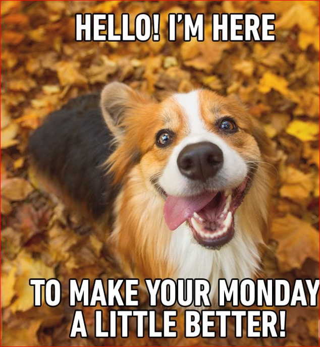 Happy Monday Memes