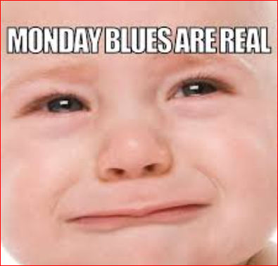 Funny Monday Memes