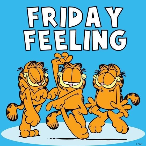 Good Morning Friday Feels