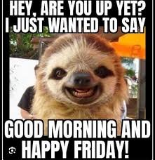 Good Morning Friday Happiness