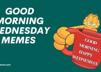 Good Morning Wednesday Memes Good Morning Wednesday Memes