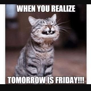 ab63c413399ac0d6278d3c162440c40e friday eve memes