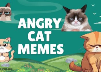 angry cat memes