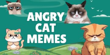 angry cat memes