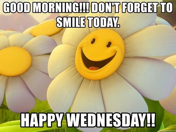 Wednesday Morning Memes