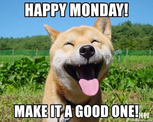 b173cff465c8d4a91a5e5c31dfc9a2eb Monday Memes