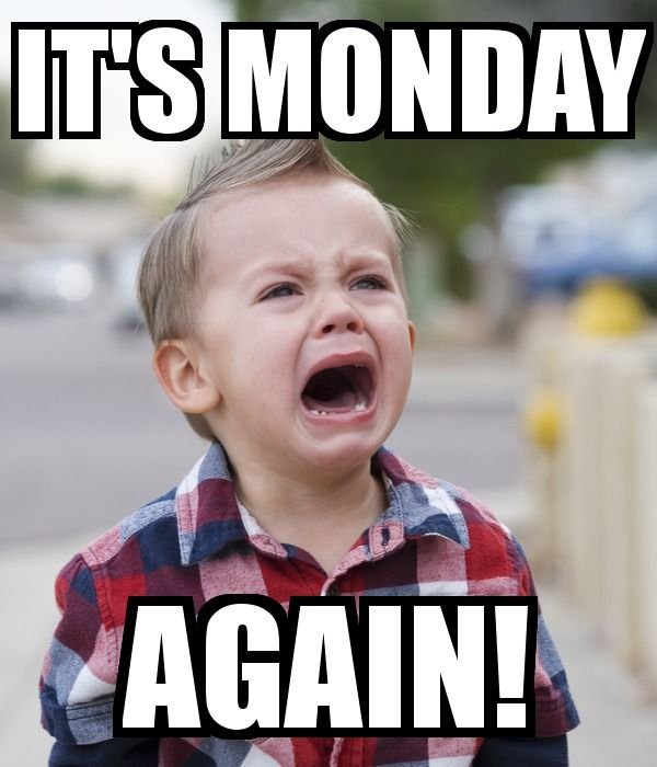 b328cabe6f4d8def325bc0b4fcfd636b funny monday memes